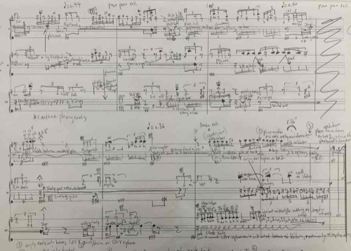 2015-walkside-score-gaudeamus-manuscript